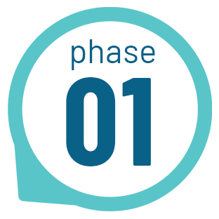 Phase 1