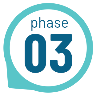 Phase 3