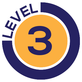 level-3