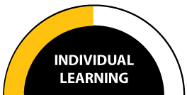 Individual Learning